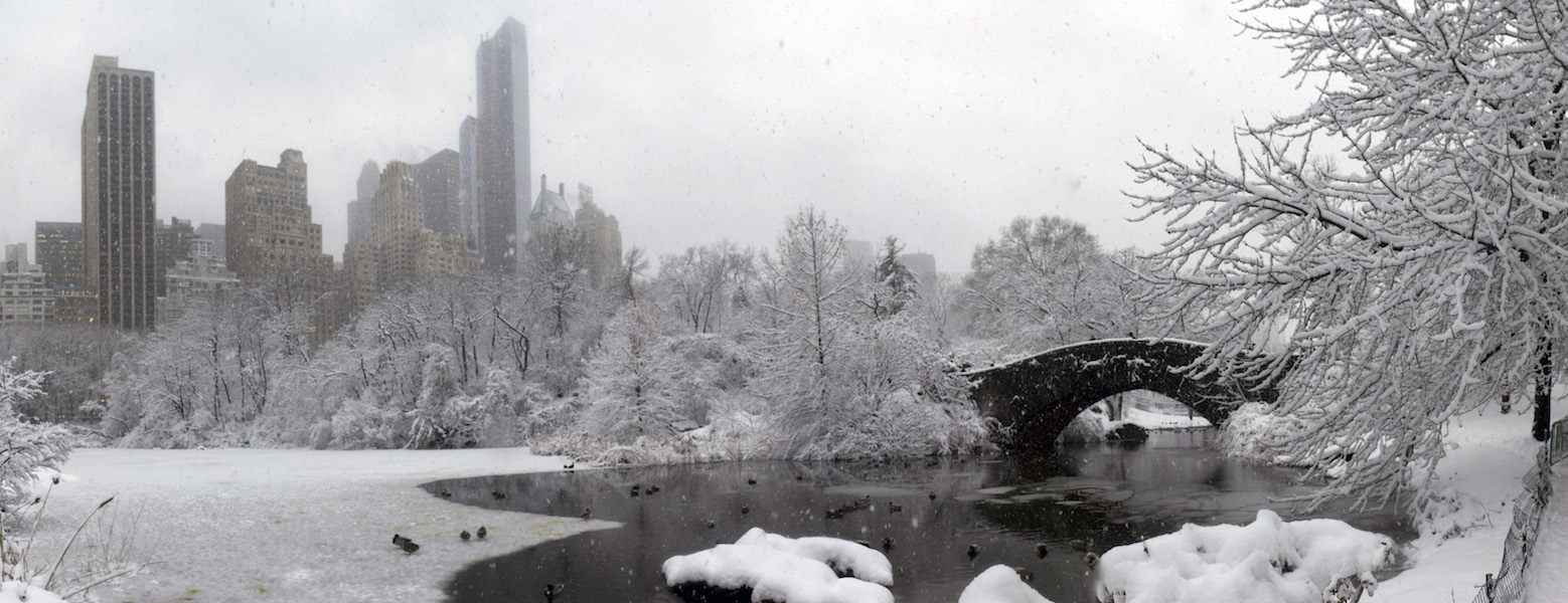 NYC Central park